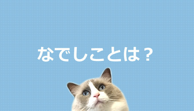 なでしことは プログラミング言語を初心者にもわかりやすく解説 プログラミング入門